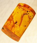 click for a larger image