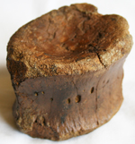 click for a larger image