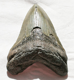 click for a larger image